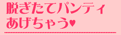 コースガイド