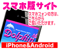 ドルフィンスマホ対応サイト