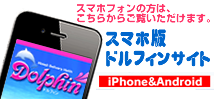 ドルフィンスマホ対応サイト